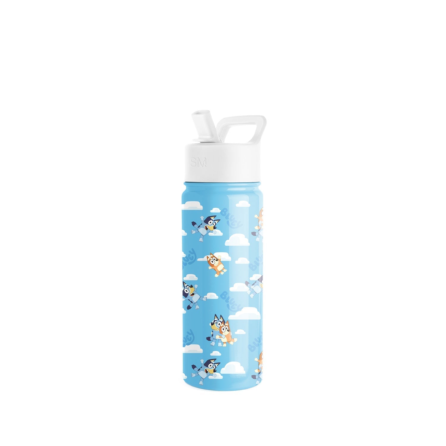 Summit Kids Water Bottle with Straw Lid - 18oz - SM - Bluey Sky