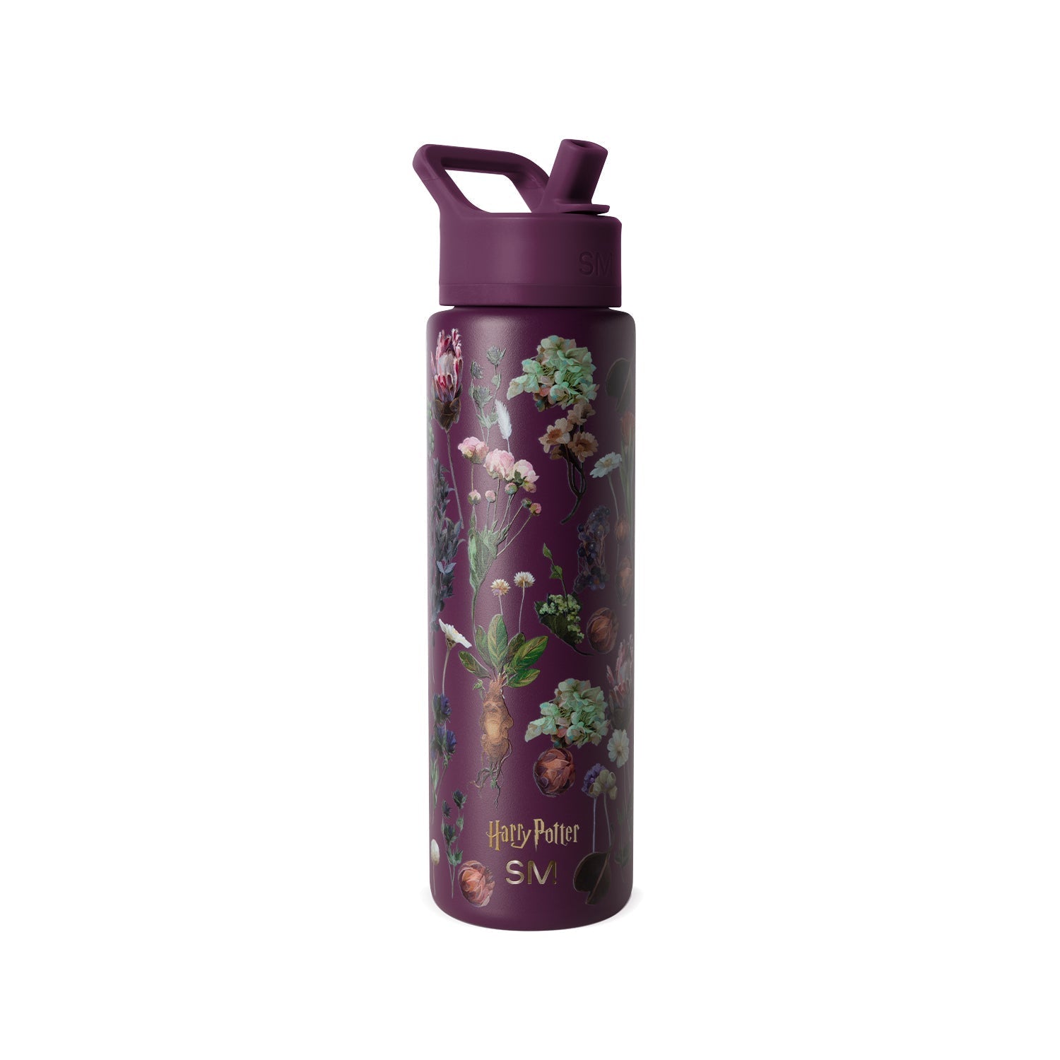 Summit Water Bottle with Straw Lid - 30oz / Harry Potter Herbology